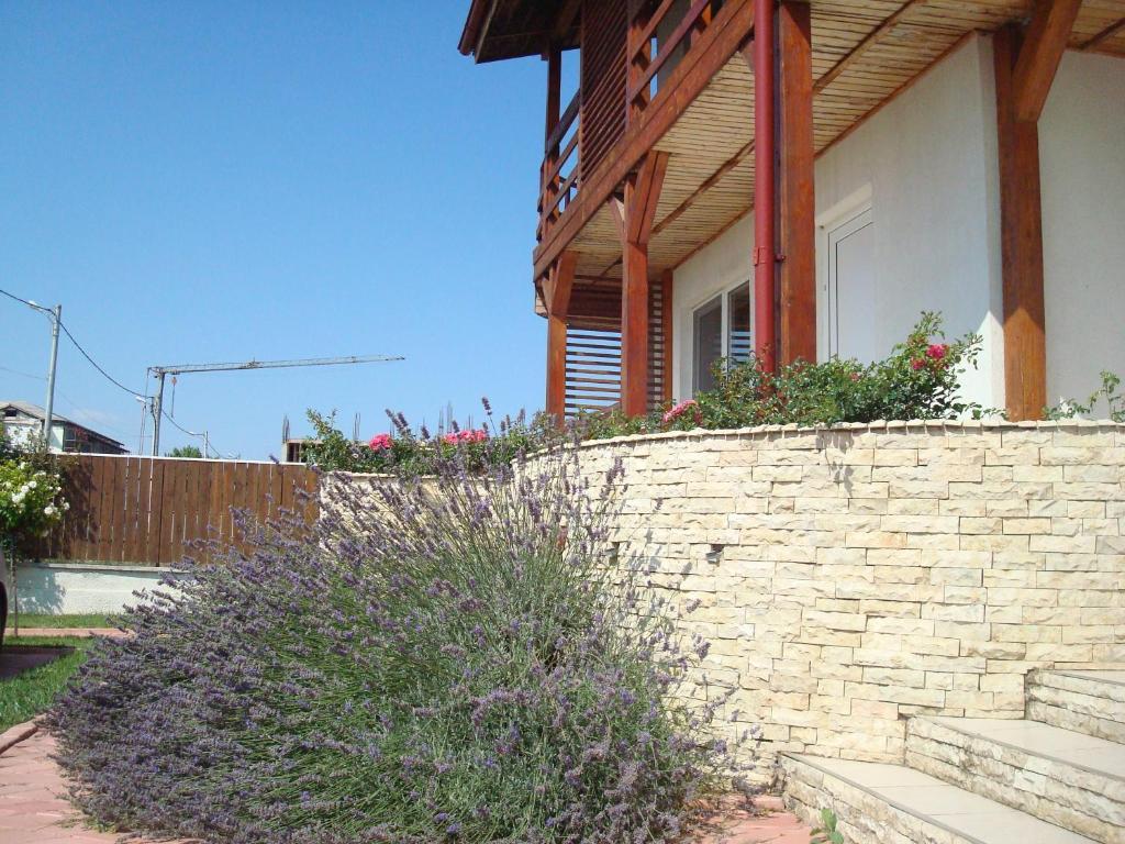 Pension Oasis Костинешти Экстерьер фото