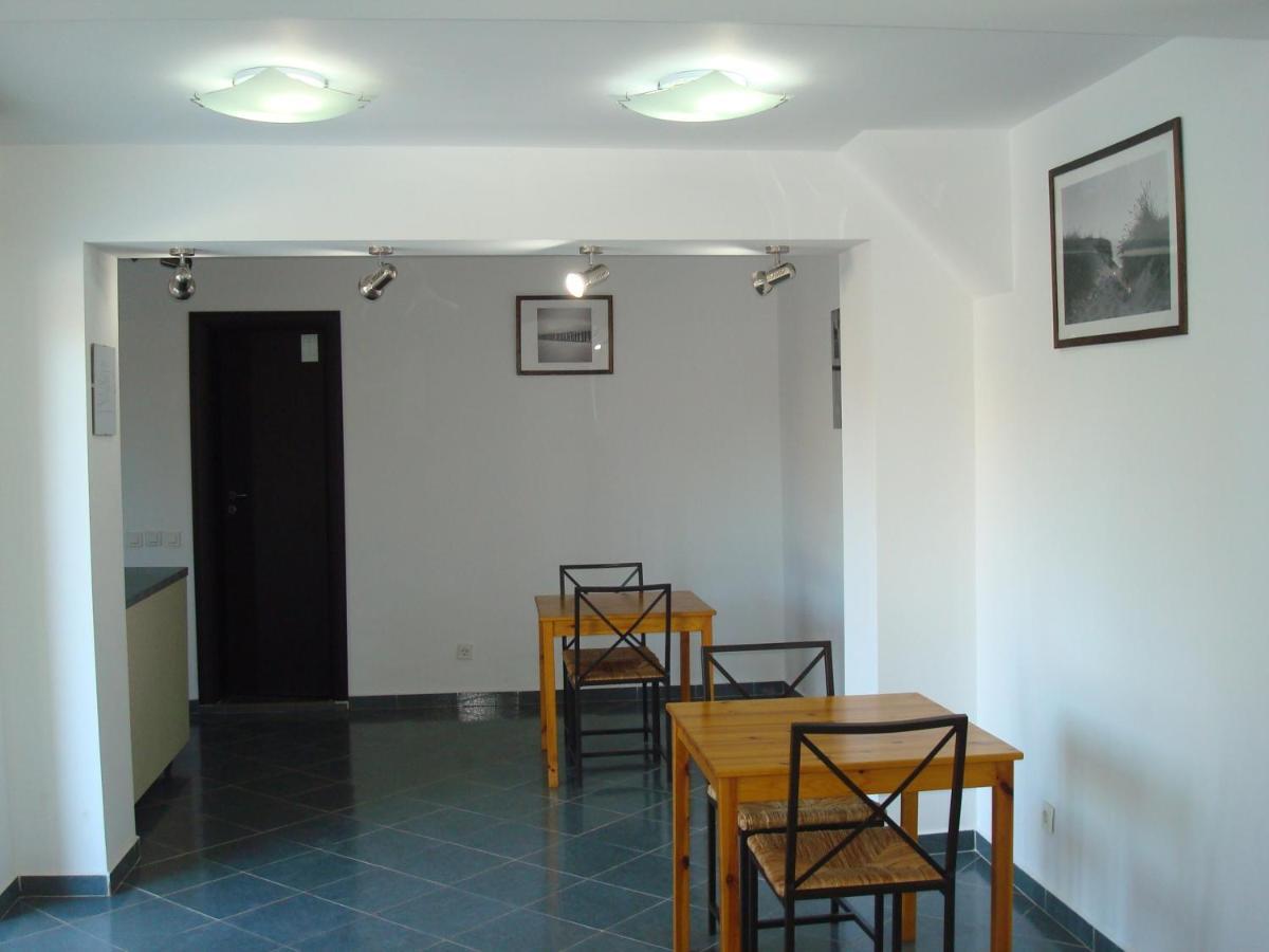 Pension Oasis Костинешти Экстерьер фото