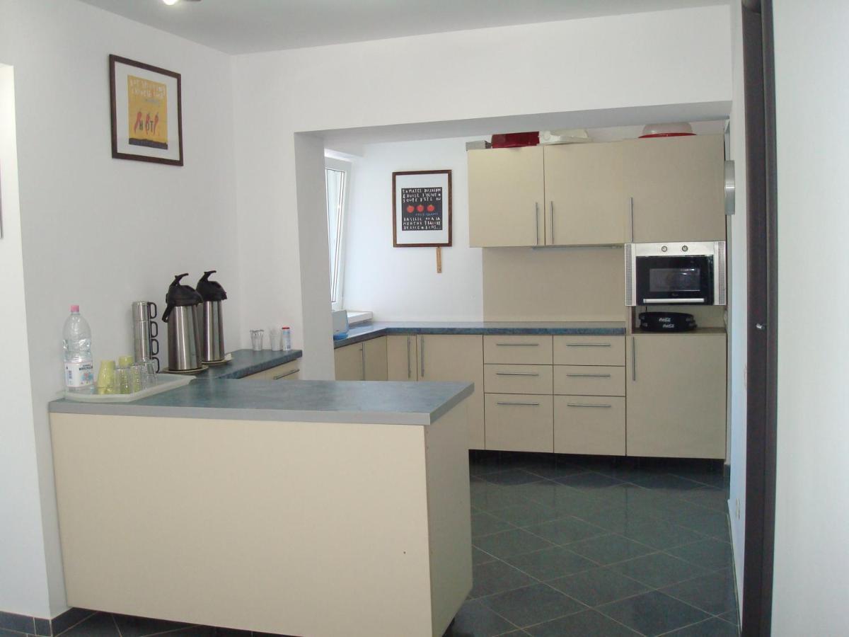 Pension Oasis Костинешти Экстерьер фото