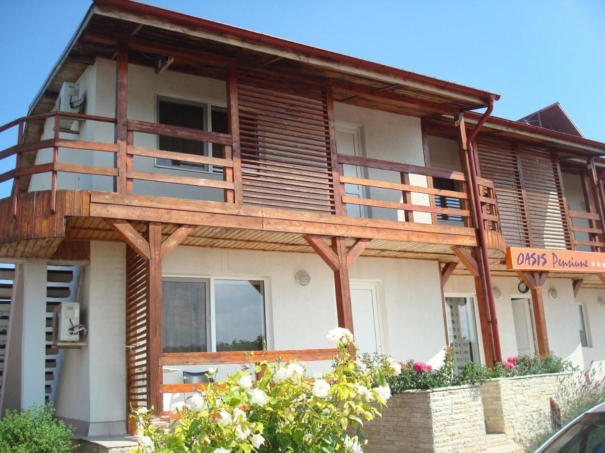 Pension Oasis Костинешти Экстерьер фото