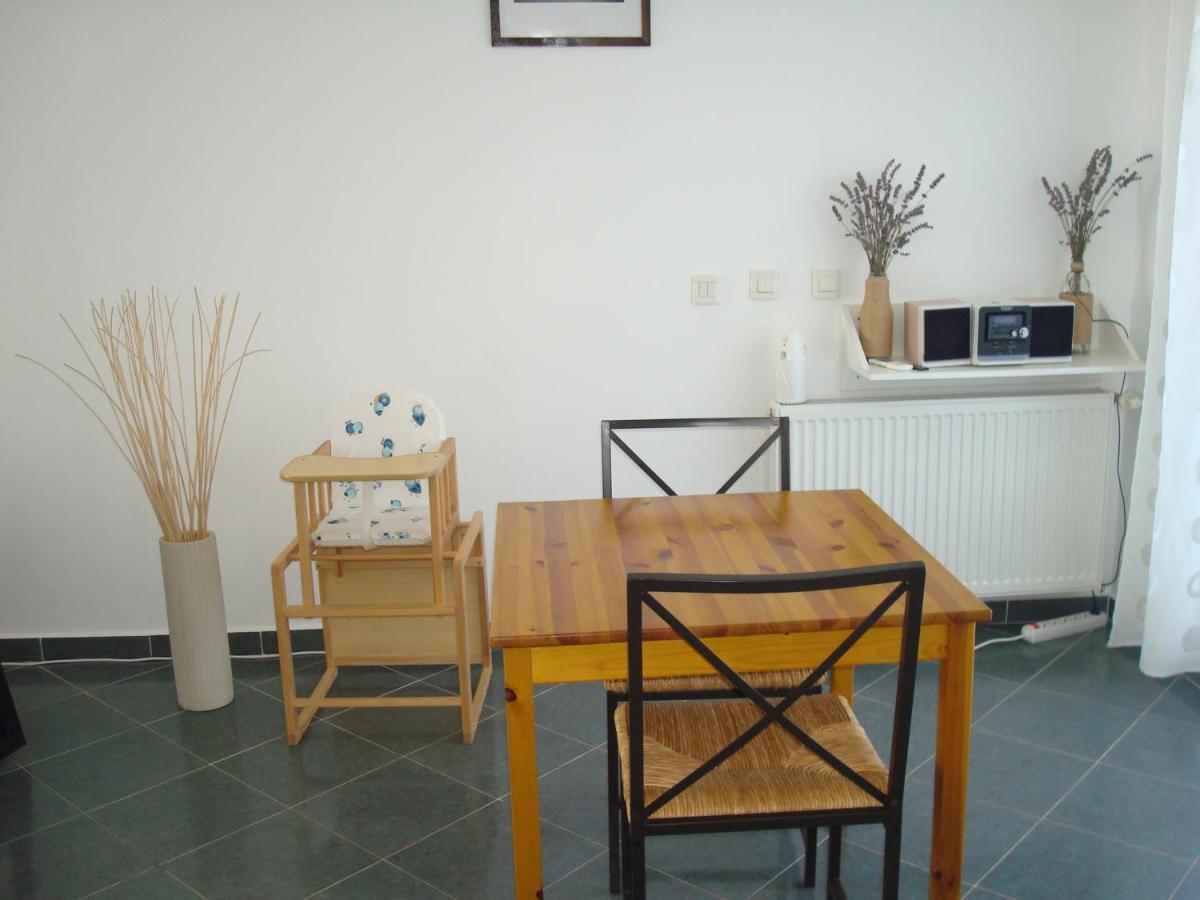 Pension Oasis Костинешти Экстерьер фото